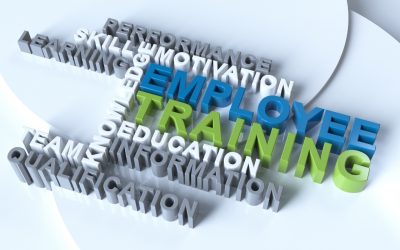 Identify When it is a Training Issue and When it Isn’t.